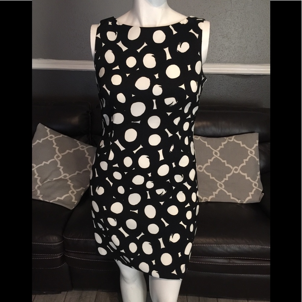 🌟 Dressbarn dress last offer 🌟